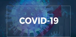 Dados da covid-19 serão divulgados diariamente