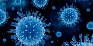 Neider afirma que foco é combater a Covid-19 e que ainda não pensa em eleição