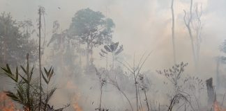 Queimadas e cheiro de fumaça estão incomodando vários bairros da cidade