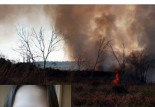 Aos 10 anos, Ingridy Andrade dá exemplo, denuncia queimadas e sujeira em lotes vagos