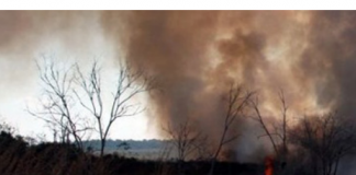 Aos 10 anos, Ingridy Andrade dá exemplo, denuncia queimadas e sujeira em lotes vagos