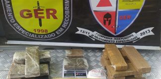 Jovem de 21 anos é preso com 17 barras de maconha