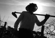 Aposentadoria Rural após a Reforma da Previdência