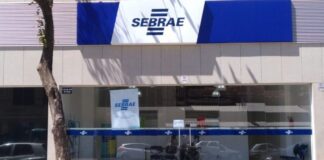 Sebrae Minas abre inscrições para programa gratuito de incentivo à startups