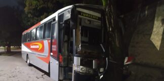 Chuva e óleo na pista causaram colisão de ônibus com árvore em Santanense