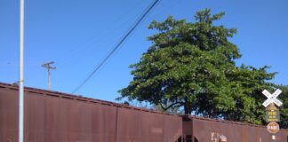 Atualização: Carro é atingido por composição férrea no Parque Jardim(vídeo)