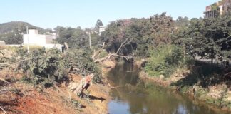 Limpeza do Rio São João incomoda moradores por causa do corte de árvores ao longo da avenida