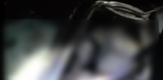 MG 431 protagoniza mais um acidente com vítima fatal (vídeo)