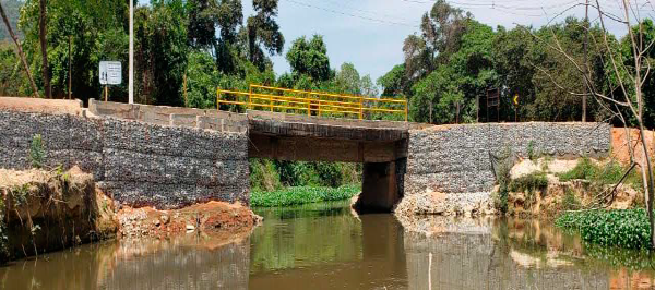 Ponte brejo