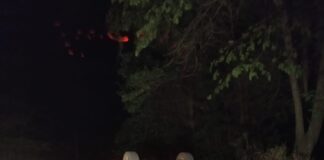 Carro capota com casal na zona rural de Angicos