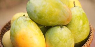 Motorista para caminhão para pegar manga e é atingido na traseira