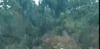 Ônibus de empresa de fretamento colide com carro na MG050 (fotos e vídeos)