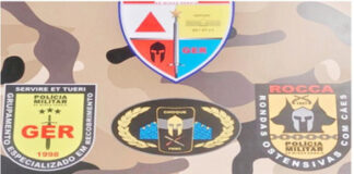 Tráfico: 35 quilos de maconha retiradas de circulação