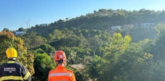 Ônibus da Viação Itaúna cai em ribanceira na BR-262