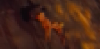 PIT BULLs atacam homem no Irmãos Auler e o ferem gravemente