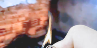 Atualização: Crianças colocam fogo em casa após manusearem isqueiro