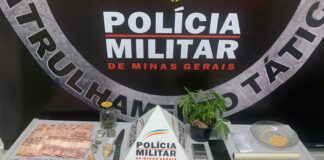 PM detém suspeito com grande quantidade de entorpecentes e pés de maconha