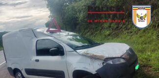 Carro capota após motorista desviar de árvore caída na MG-050