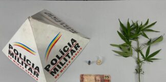 Operação da polícia apreende drogas no bairro Irmãos Auler