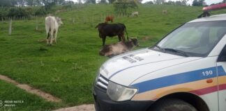 Ações da patrulha rural da PM em Itaúna e Itatiaiuçu