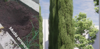 Polícia identifica homem que furtou muda de planta do “Projeto Verde” na Silva Jardim