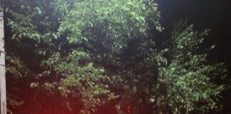 PM recupera veículo pouco tempo após o furto