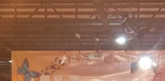 Capoeira de Itaúna na galeria dos campeões em Belo Horizonte