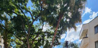 Colisão entre moto e carro deixa motociclista ferida no centro de Itaúna