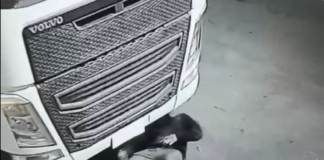 Carretas são alvo de furto de equipamentos eletrônicos no Padre Eustáquio e Nova Vila Mozart (vídeo)