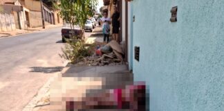 Mulher trans é assassinada no bairro de Lourdes