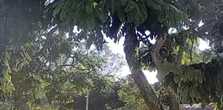 Carreta tomba e atinge dois carros na MG-431, em Pará de Minas (vídeo)