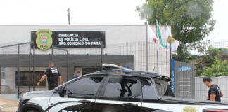 PCMG prende dupla por furto de gado, alguns animais são encontrados em Itaúna