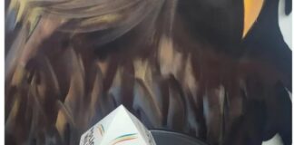 Denúncia leva à prisão de mulher por suspeita de tráfico de drogas no bairro Garcias