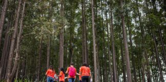 Evento gratuito de trekking em Itaúna marca os 50 anos da Belgo Arames