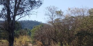 Carro é completamente destruído por incêndio na MG-431