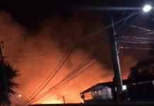 Balanço aponta queda nos incêndios florestais em Itaúna, mas alerta para aumento em lotes vagos