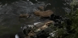 ATUALIZAÇÃO: BMW no Rio São João