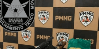 Operação Novo Horizonte