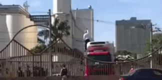 Caminhoneiro para a amazonas, mas desce do veículo após ser contido pela PM.