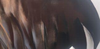 Homem é preso com drogas sintéticas em Itaúna