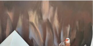 Homem é preso com revólver durante operação policial na zona rural de Itaúna