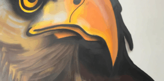 Polícia Militar apreende grande quantidade de drogas em Itaúna