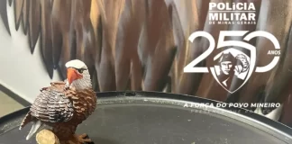 Venezuelano é preso com revólver no Garcias