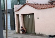Cidadãos são flagrados defecando em locais públicos em plena luz do dia
