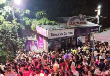 Com público menor na avenida, horário noturno reduzido do Carnaval não emplaca