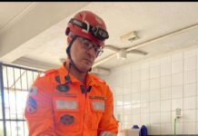 Corpo de Bombeiros resgata tamanduá-mirim ferido em Itaúna