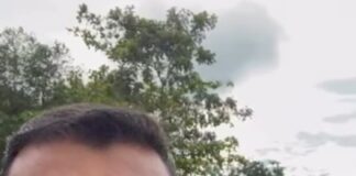 Comunidade se mobiliza para reconstruir muro do Estádio de Santanense após queda de flamboyant centenário