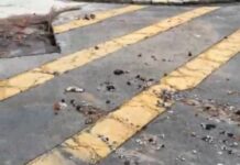 Vereadores criticam Gasmig e denunciam descaso, buracos e prejuízos causados pela empresa