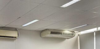 Prefeitura vai ampliar atendimentos médico-veterinários com consultas, exames e pequenas cirurgias