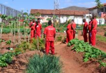 Anteprojeto propõe programa municipal de trabalho e ressocialização para detentos em Itaúna